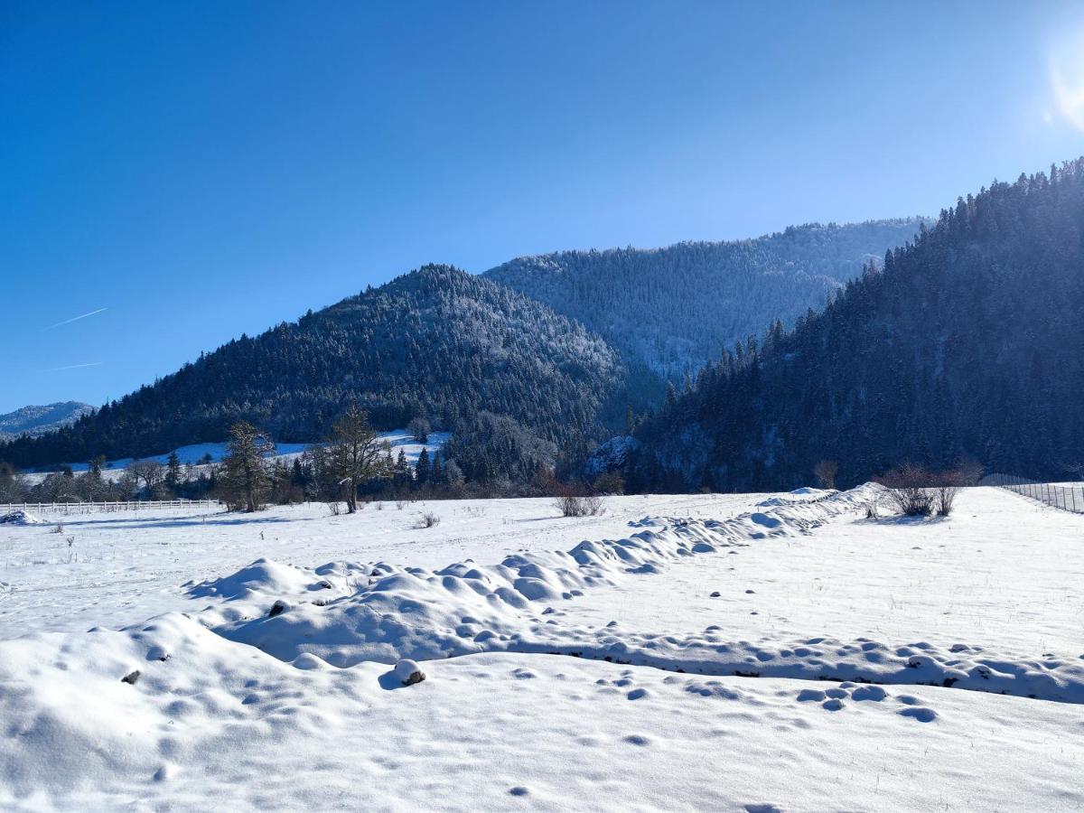 Landhaus Borjomi Exterior photo